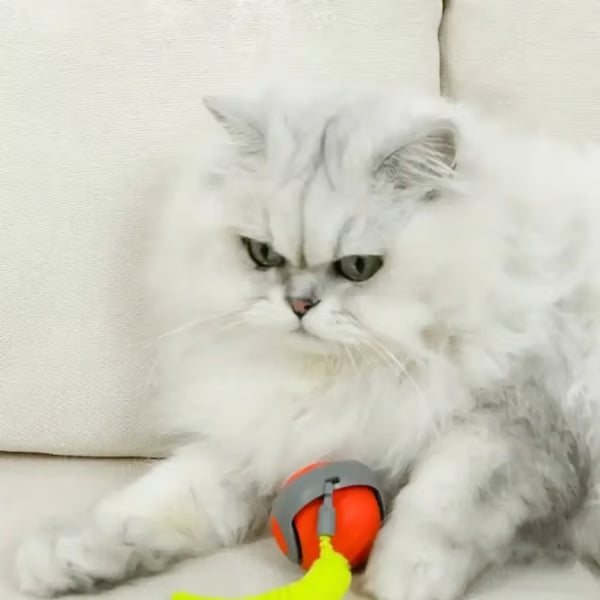 Interactive Electric Rolling Ball with Teasing Tail