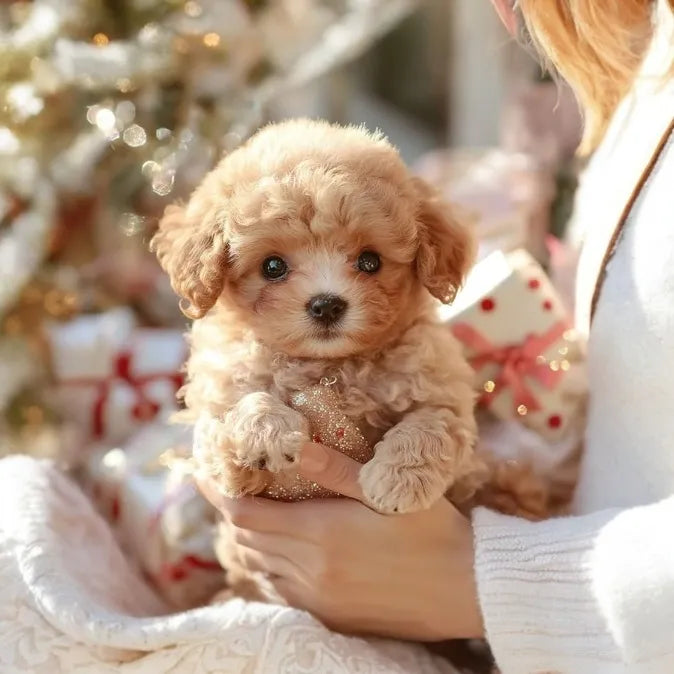 Realistic Puppy Toy
