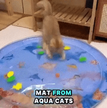 New Thickened Summer Pets Cooling Water Sensory Play Mat