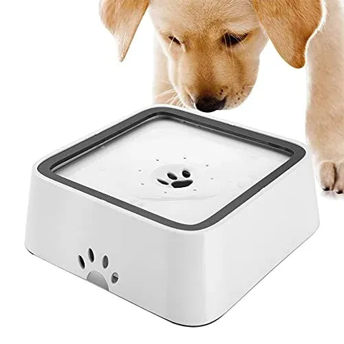 Dry Bowl Dog Drinking