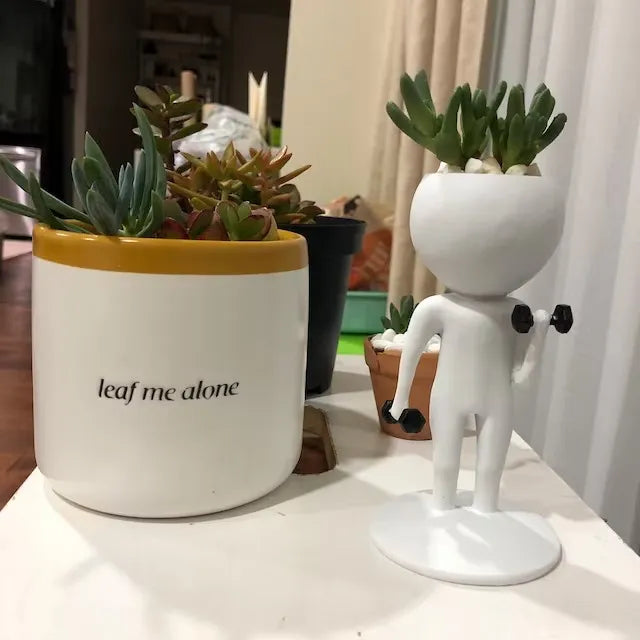 Sports Succulent Planter
