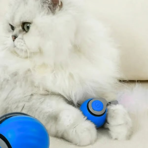 Interactive Electric Rolling Ball with Teasing Tail