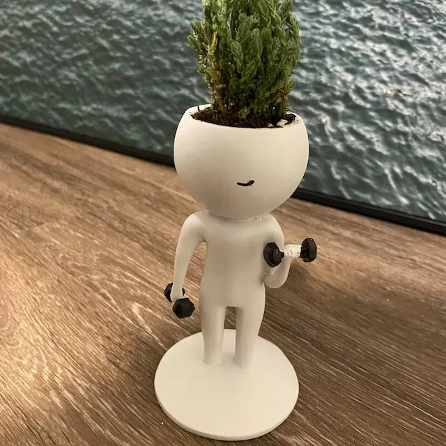Sports Succulent Planter