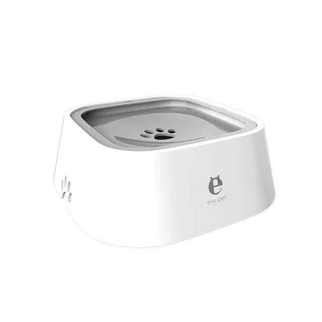 Dry Bowl Dog Drinking