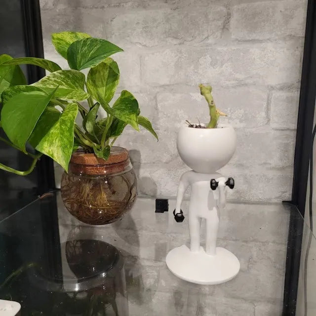 Sports Succulent Planter