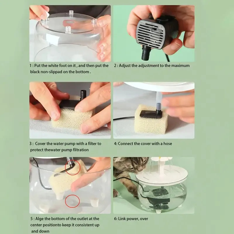 Pet Water Dispenser
