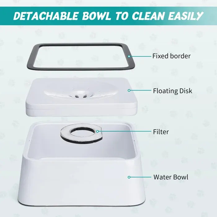 Dry Bowl Dog Drinking