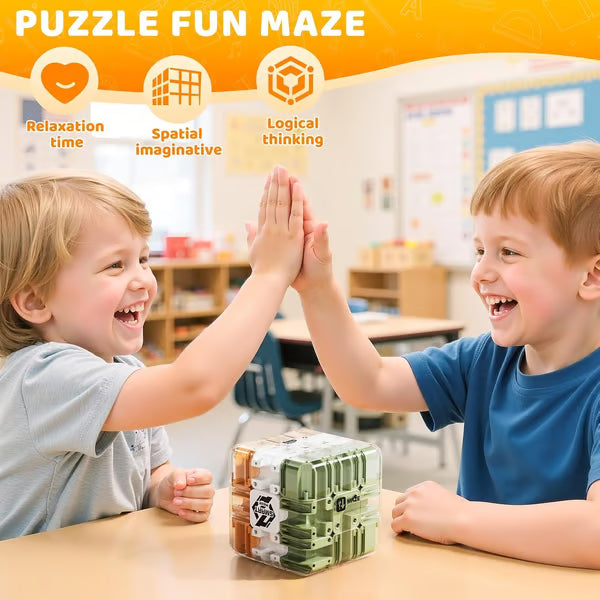 Large Labyrinth 3D Puzzle Maze Cube
