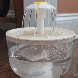 Pet Water Dispenser