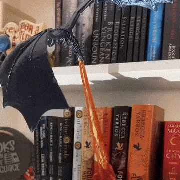 Dragon Flame Book Nook