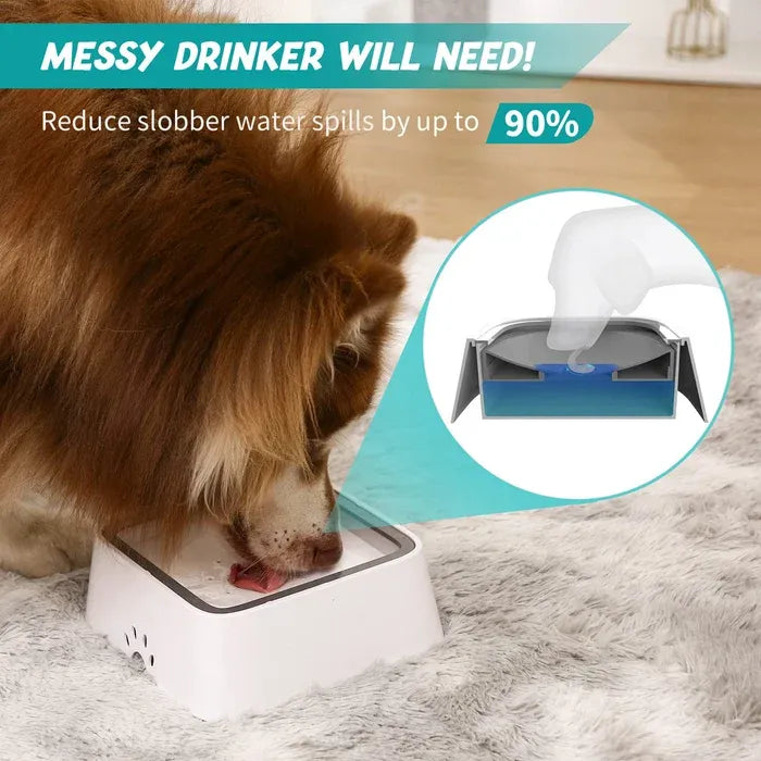 Dry Bowl Dog Drinking
